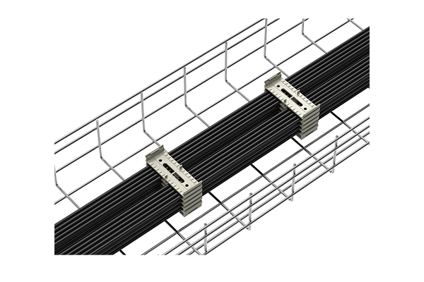 Ϲ6B